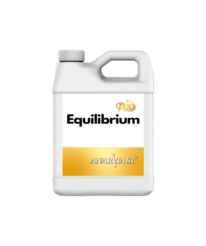 Equilibrium Anarkia81