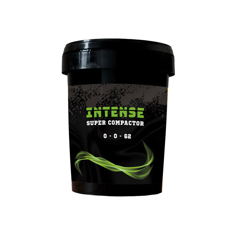 Anarkia81 Intense