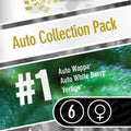 Auto Collection Pack #1 Autofloreciente de Paradise Seeds