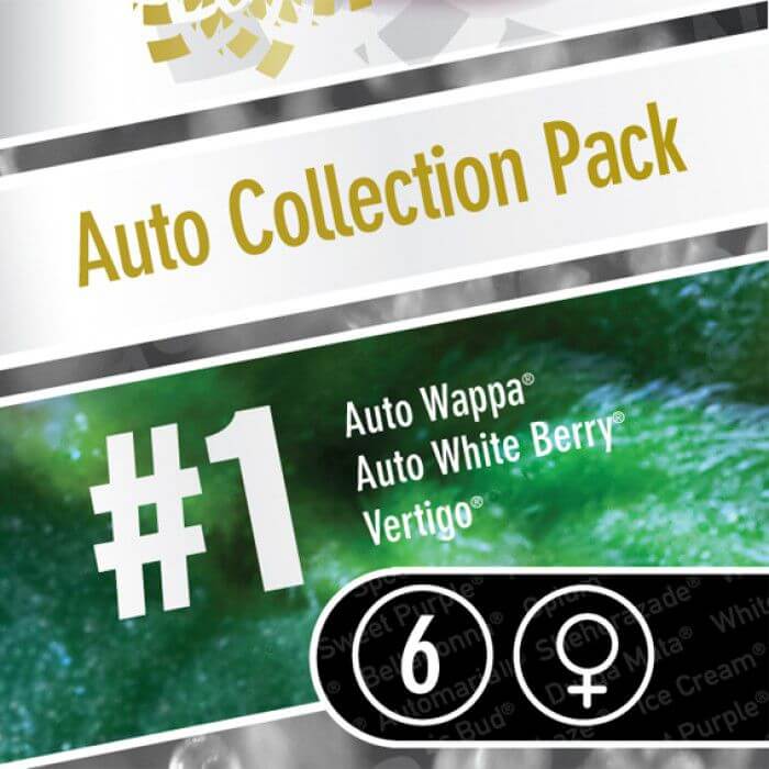 Auto Collection Pack #1 Autofloreciente de Paradise Seeds