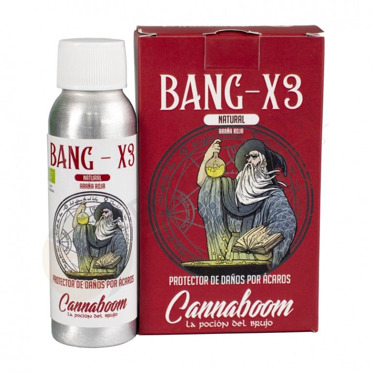 Bang X3