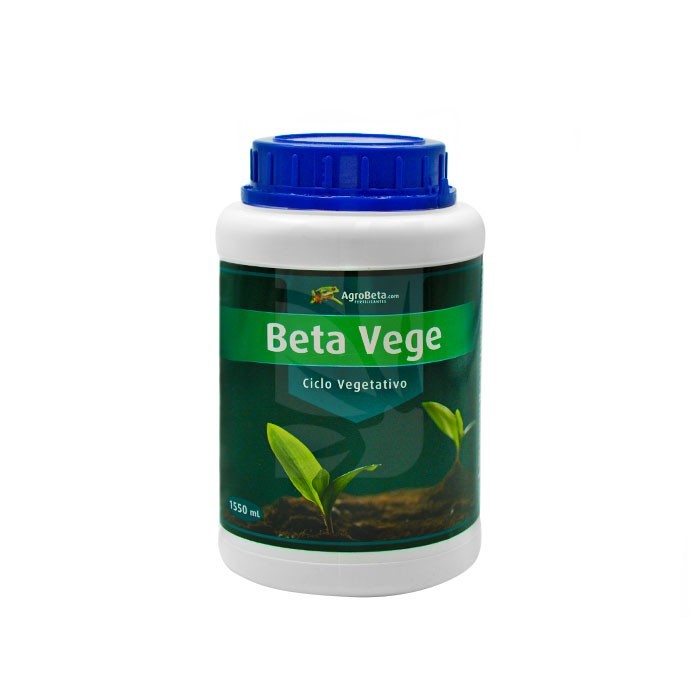 Beta Vege . Vegetación