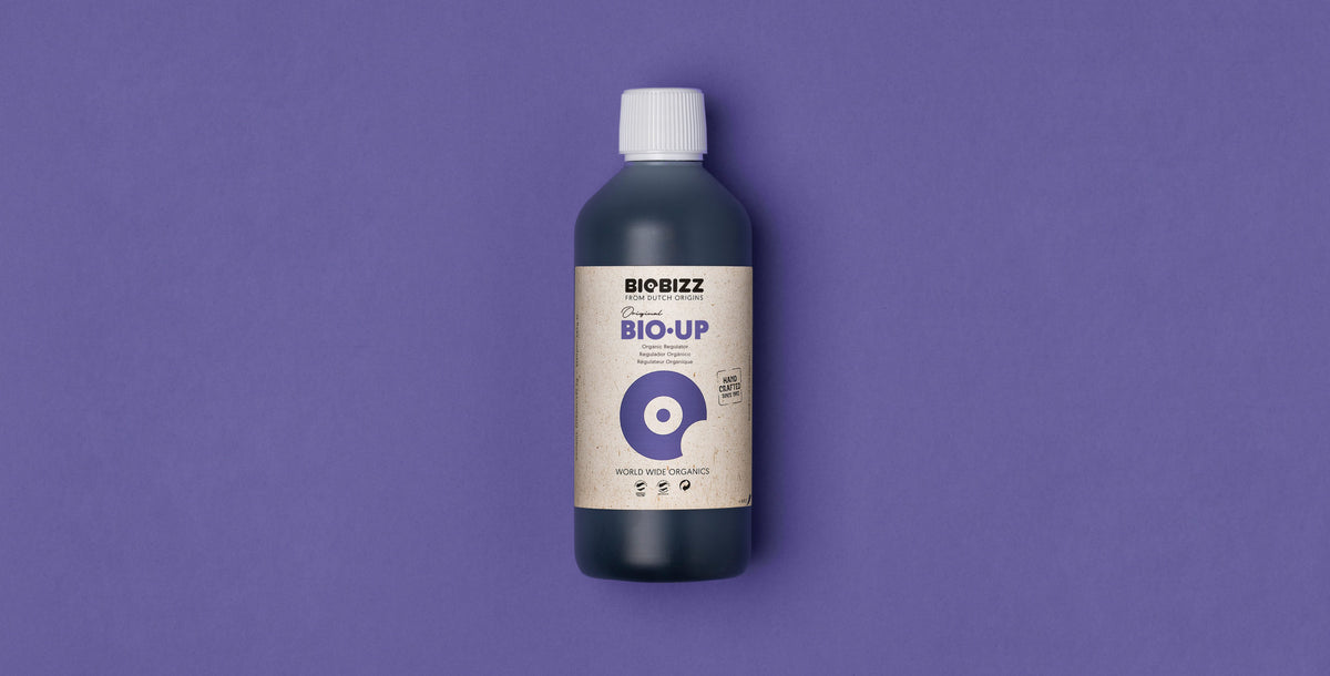 Bio·Up