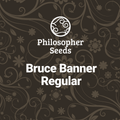Bruce Banner Regular