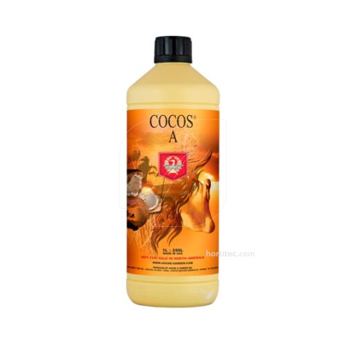 Coco A H&G
