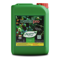 Dutch Pro Amino Strength