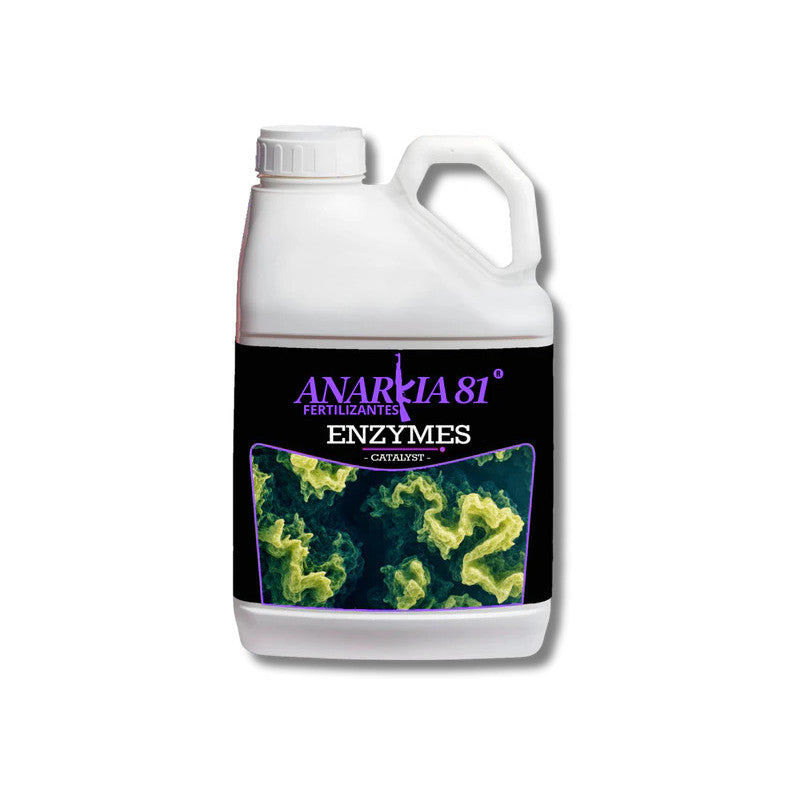 Enzymes Anarkia81