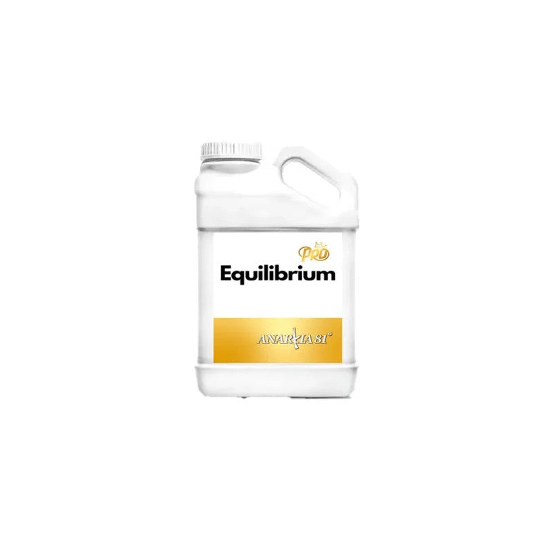 Equilibrium Anarkia81