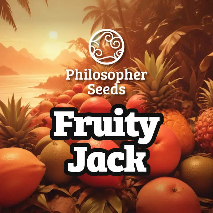 Fruity Jack