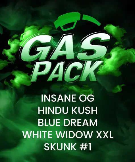 Gas Pack Strain