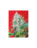 Green Poison®