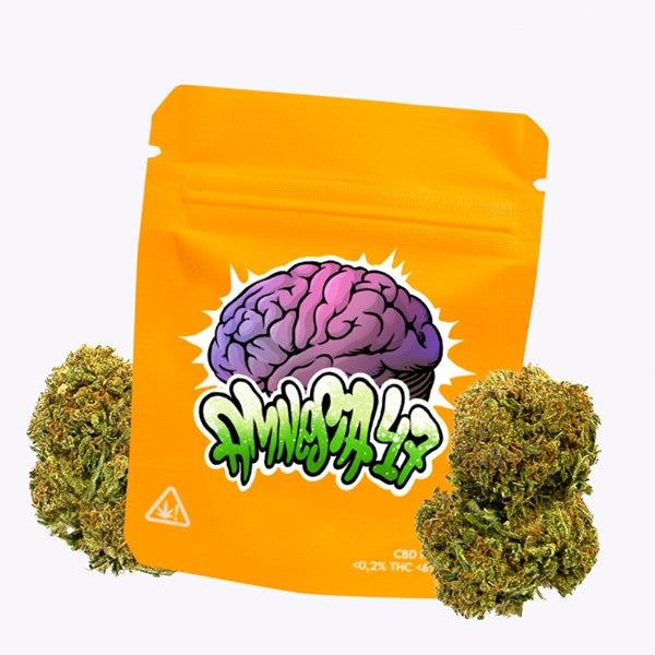 Cañamo Cbd Gorilla Grillz Outdoor Amnesia 47