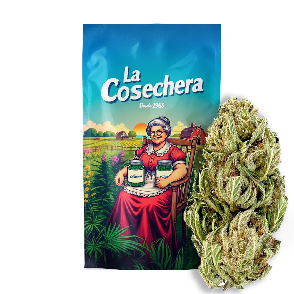Cañamo Cbd La Cosechera Orange Cali