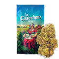 Cañamo Cbd La Cosechera Mimosa