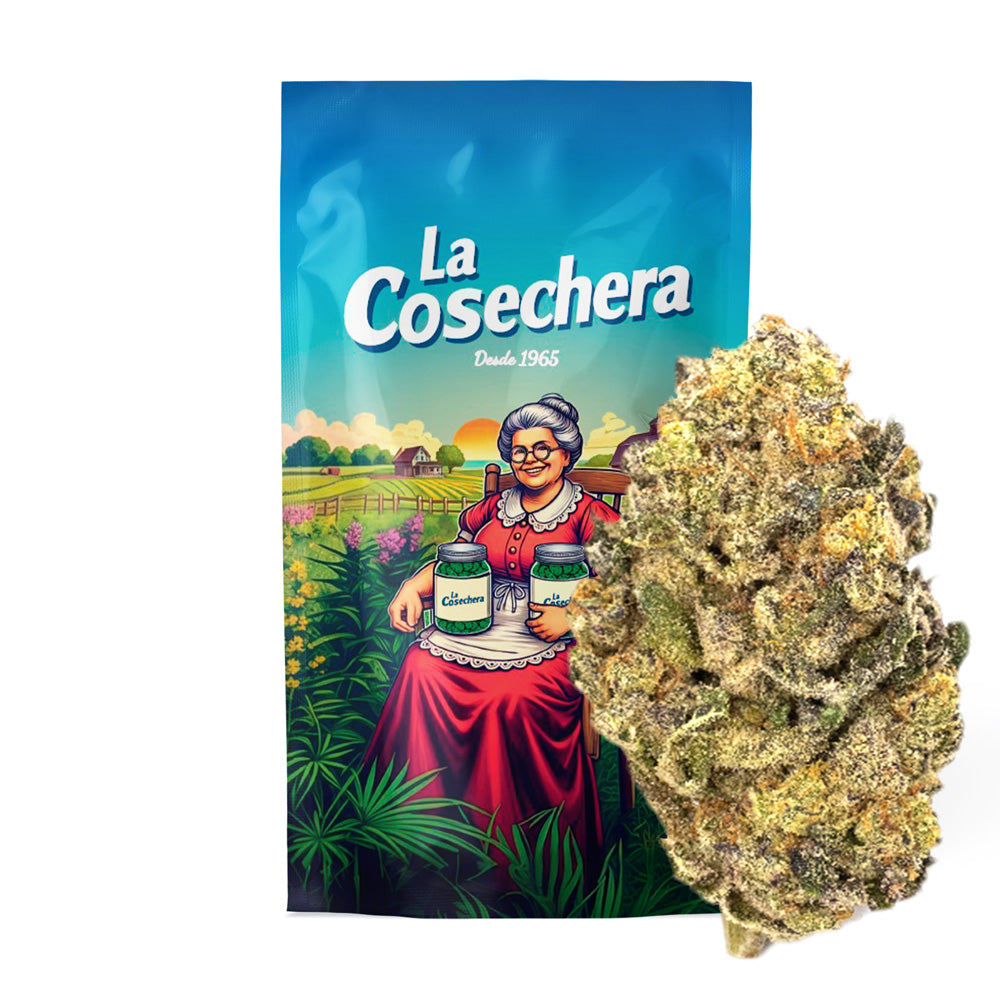 Cañamo Cbd La Cosechera Cheesecake