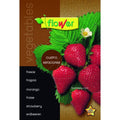 Fresas cuatro estaciones