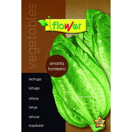 Lechuga amarillo hortelano