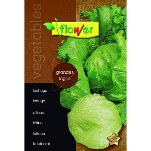 Lechuga grandes lagos