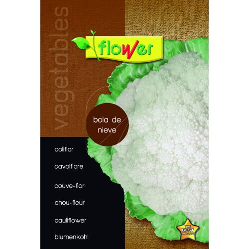 Coliflor bola de nieve