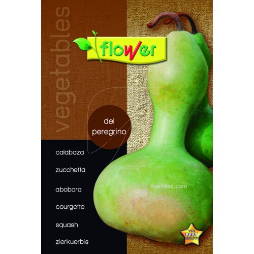 Calabaza del peregrino