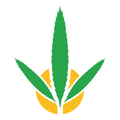 BLUNT HEMPARILLO CALI-FIRE (CANELA) (15 X 4 UNIDADES)