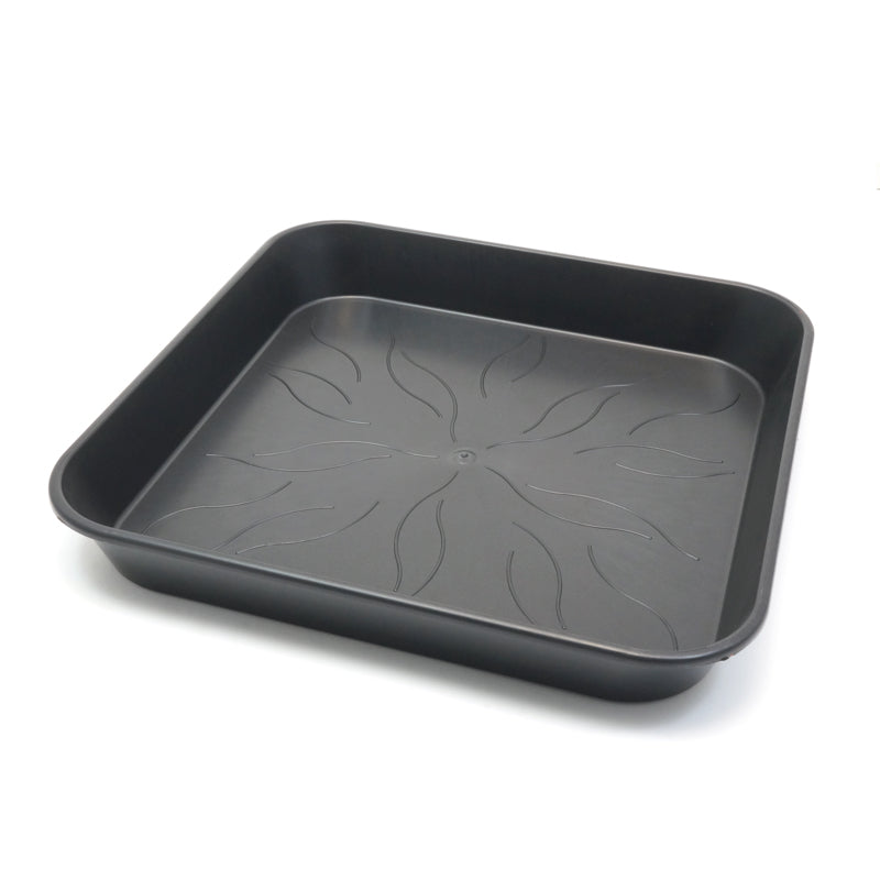 PLATO CUADRADO PURE FACTORY 29X29CM (20 UND)
