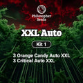 Kit XXL Auto