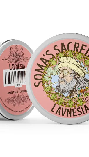 Lavnesia Soma Seeds Originals