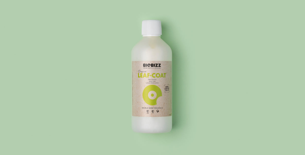 Leaf·Coat