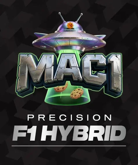 MAC 1 Strain