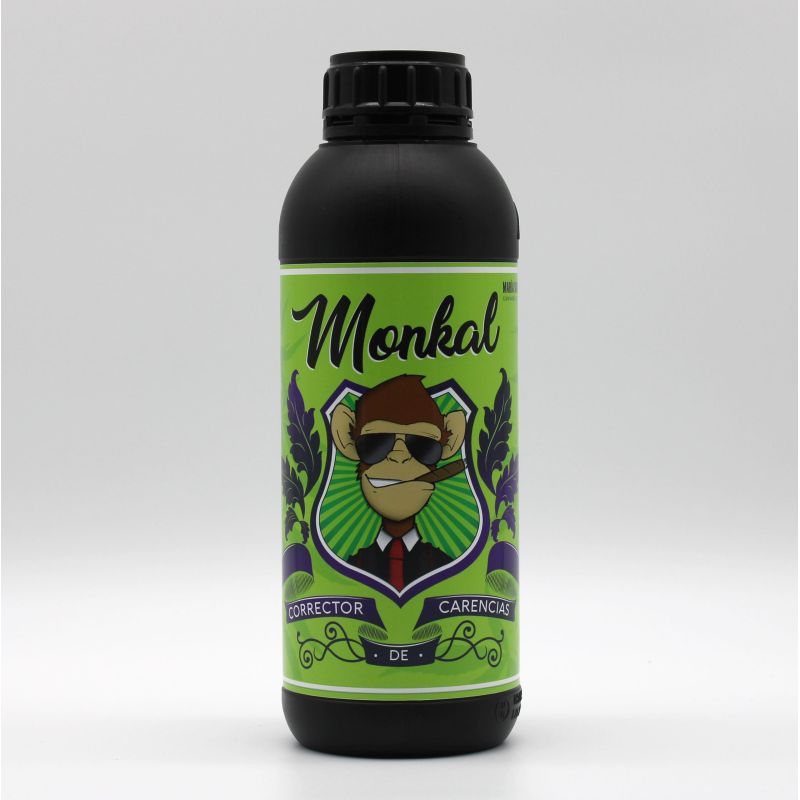 Maria Solution Monkal