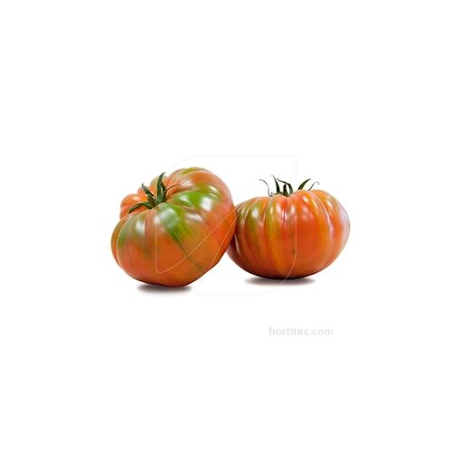 Tomate Marmande (RAF)