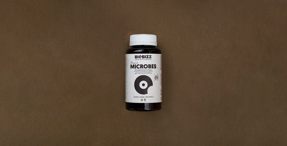 Microbes