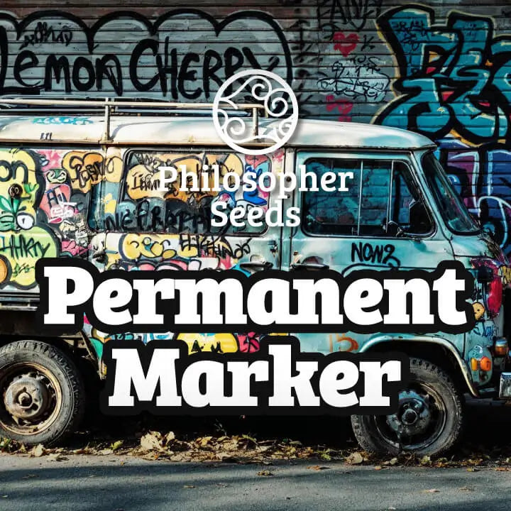 Permanent Marker