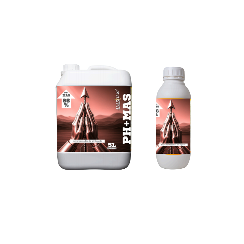 Ph up Anarkia81