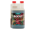 CANNABOOST Accelerator
