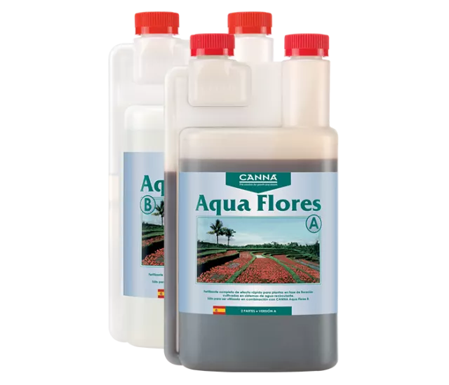 Aqua Flores A