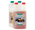 Coco A
