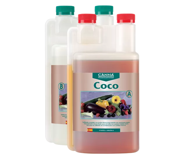 Coco A
