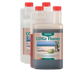 COGr Flores A