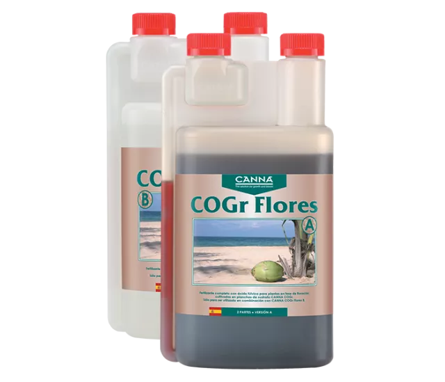 COGr Flores A