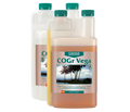 COGr Vega B