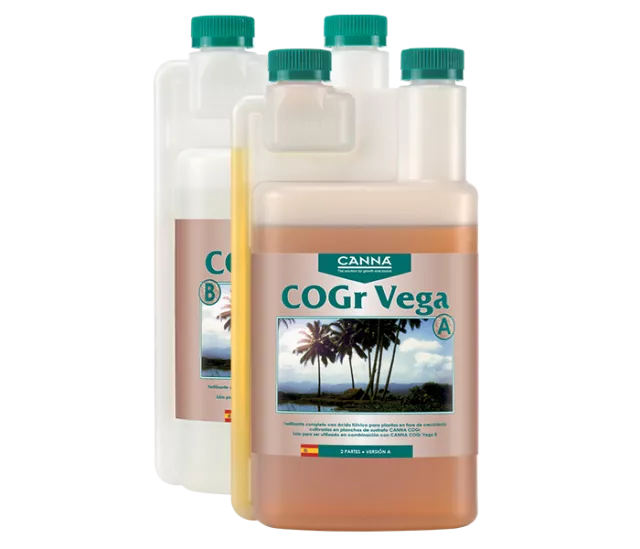 COGr Vega B