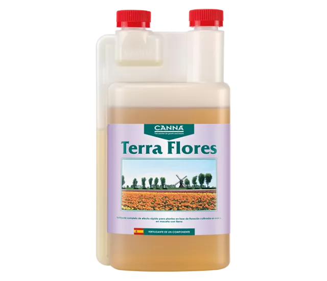 Terra Flores