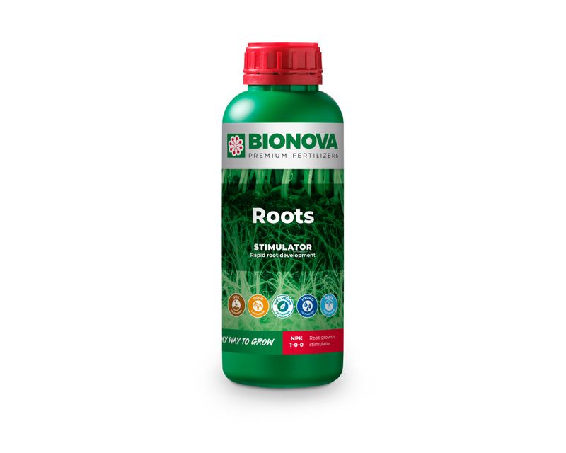 BN Roots