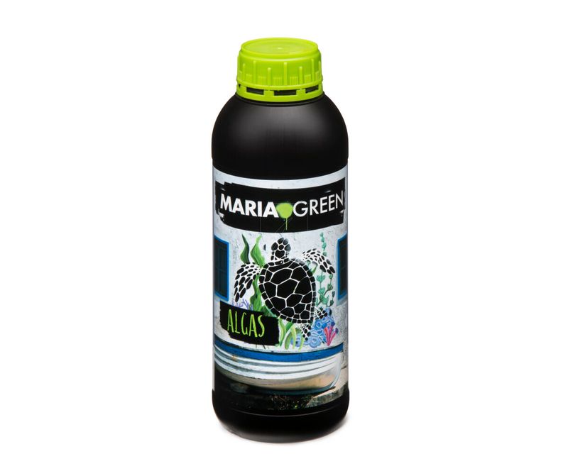 Huano Maria Green