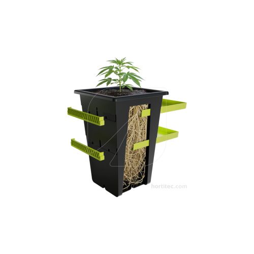 Re-plant