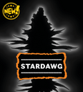 Stardawg Feminized Cannabis Seeds
