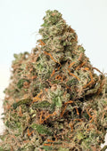 Supercheese