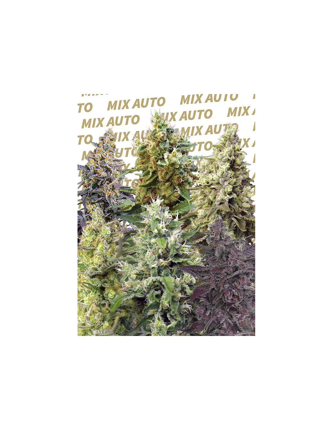 Sweet Mix Auto®